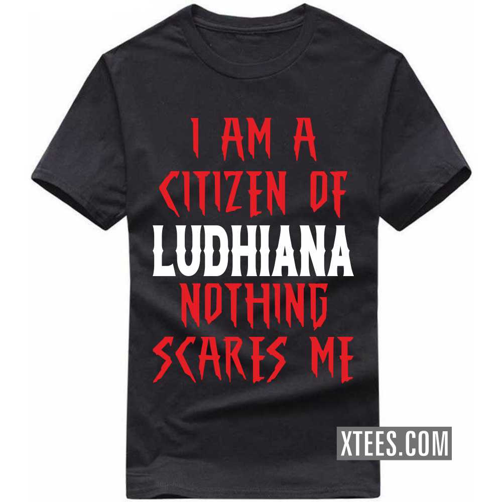 I Am A Citizen Of LUDHIANA Nothing Scares Me India City T-shirt image