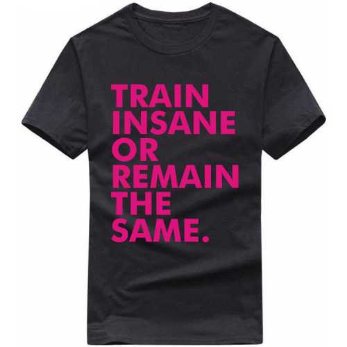 Train Insane Or Remain The Same Gym T-shirt India image