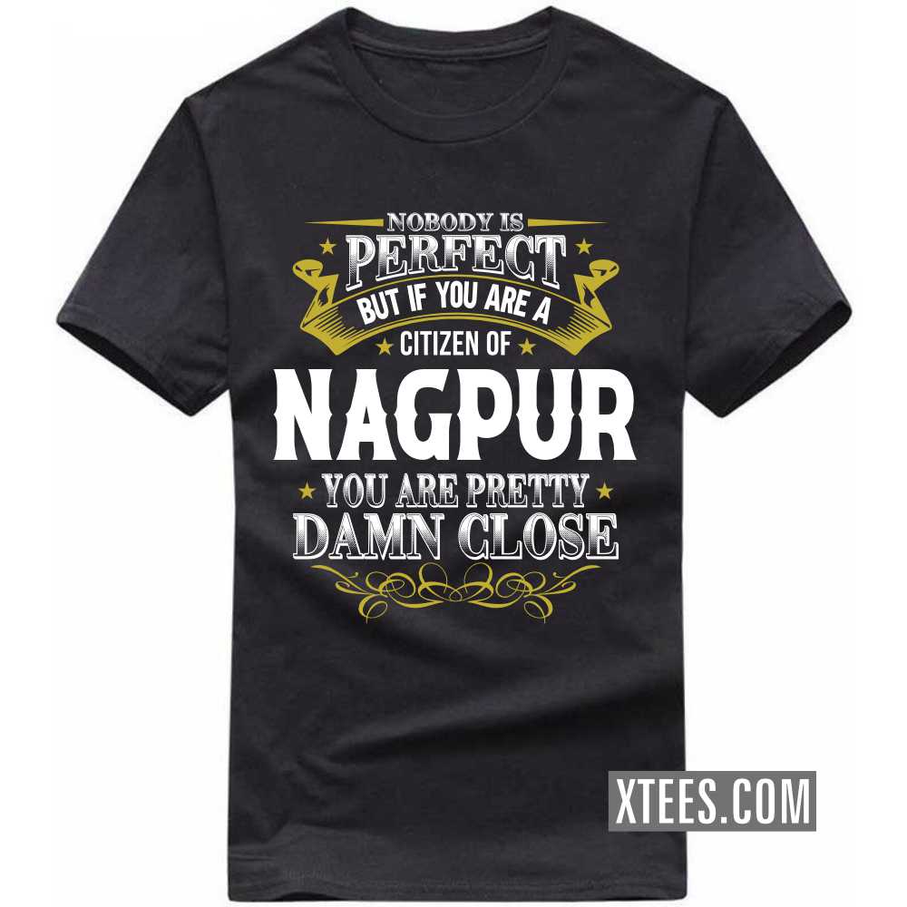 Nobody Is Perfect But If You Are A Citizen Of NAGPUR You Are Pretty Damn Close India City T-shirt image