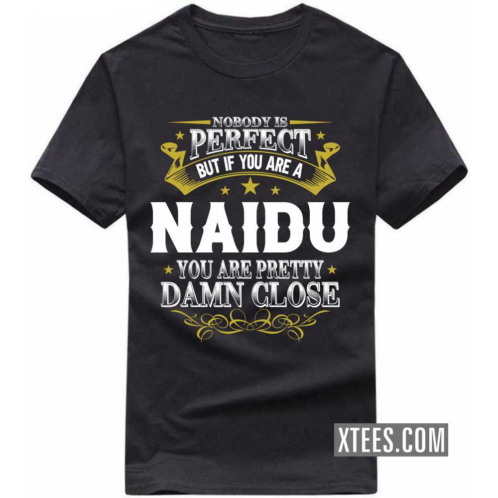 Nobody Is Perfect But If You Are A Naidu You Are Pretty Damn Close Caste Name T-shirt image