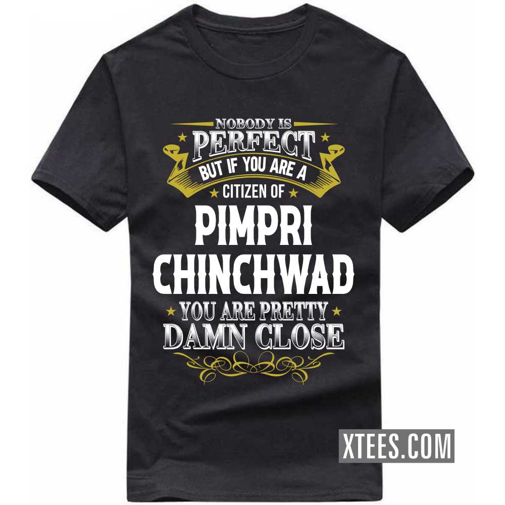 Nobody Is Perfect But If You Are A Citizen Of PIMPRI CHINCHWAD You Are Pretty Damn Close India City T-shirt image