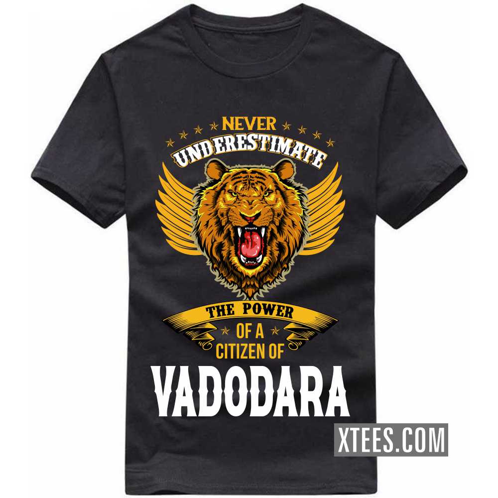 Never Underestimate The Power Of A Citizen Of VADODARA India City T-shirt image