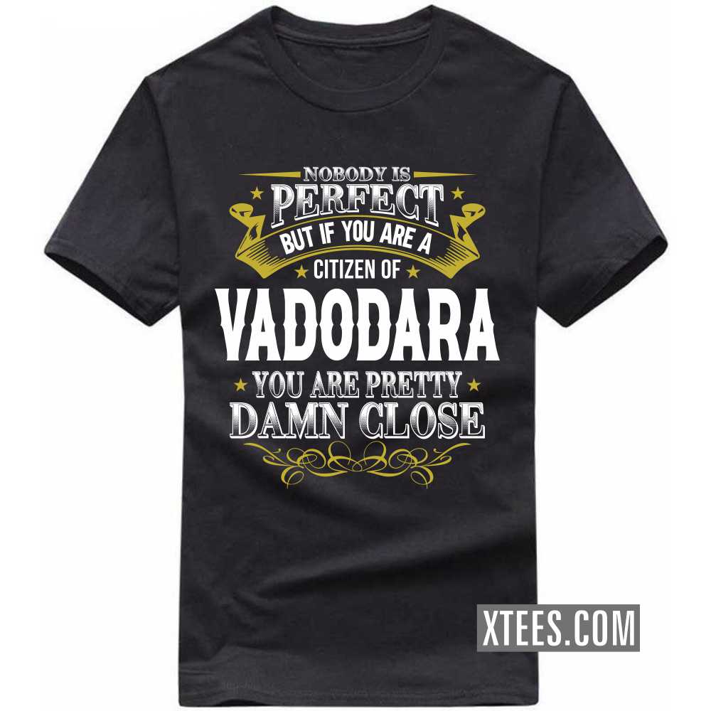 Nobody Is Perfect But If You Are A Citizen Of VADODARA You Are Pretty Damn Close India City T-shirt image