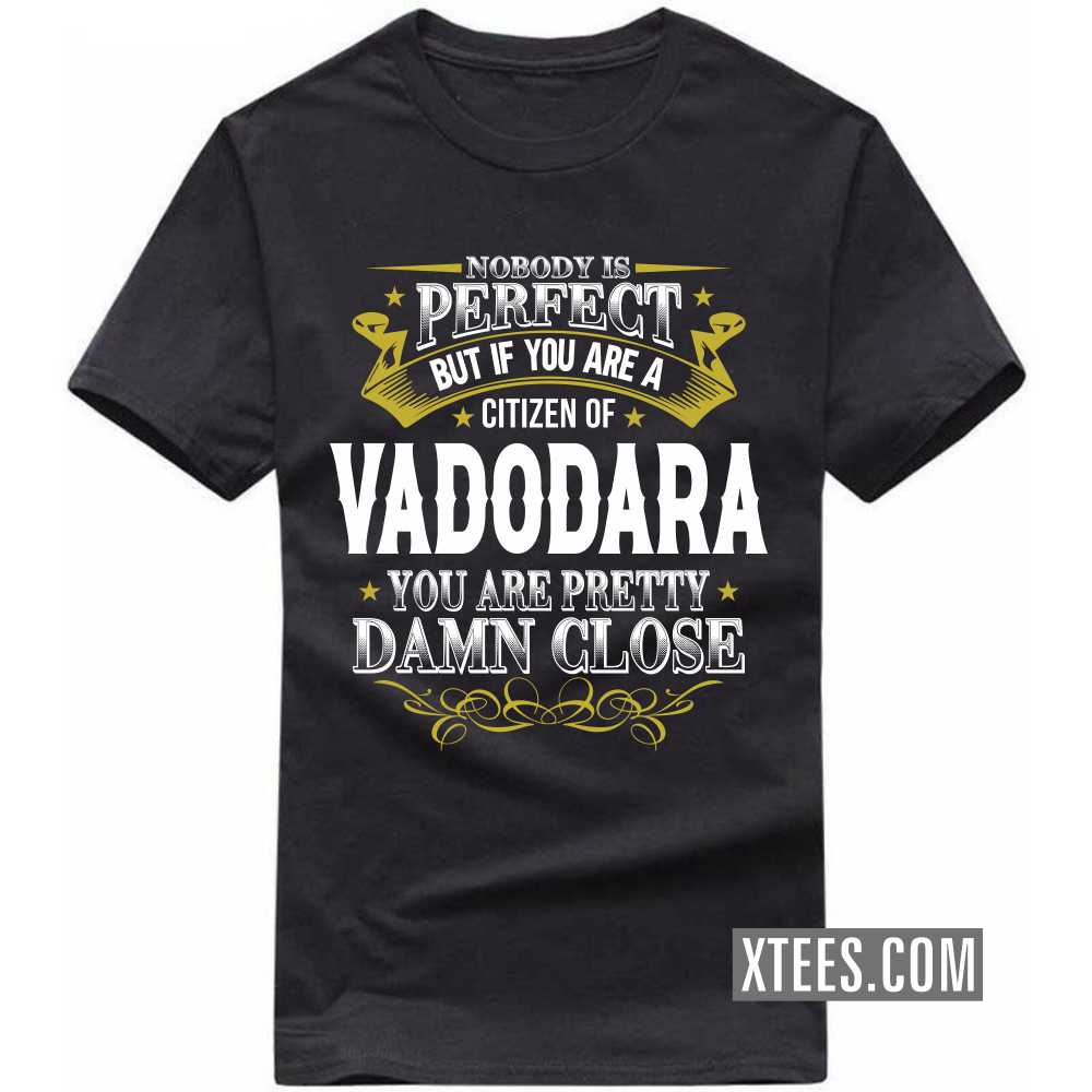 Nobody Is Perfect But If You Are A Citizen Of VADODARA You Are Pretty Damn Close India City T-shirt image